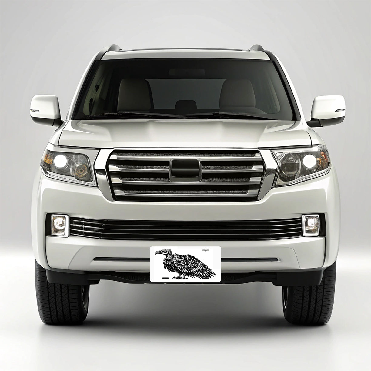 Vulture Bird Black White Metal Vanity Novelty Tag License Plate for Trucks Cars SUVs