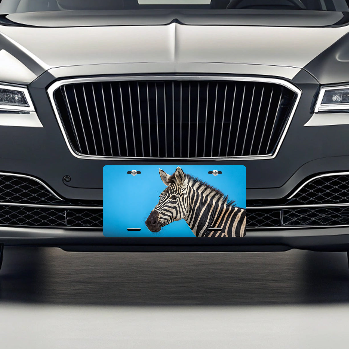 Zebra Face Blue Background Metal Vanity Novelty Tag License Plate for Trucks Cars SUVs
