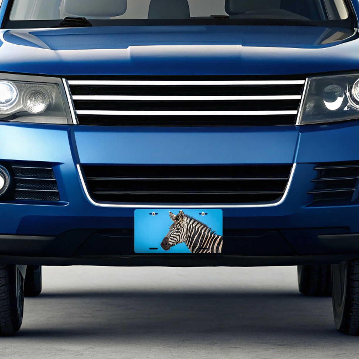 Zebra Face Blue Background Metal Vanity Novelty Tag License Plate for Trucks Cars SUVs