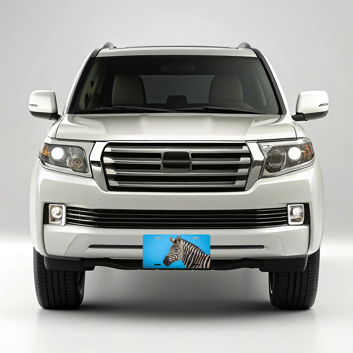 Zebra Face Blue Background Metal Vanity Novelty Tag License Plate for Trucks Cars SUVs