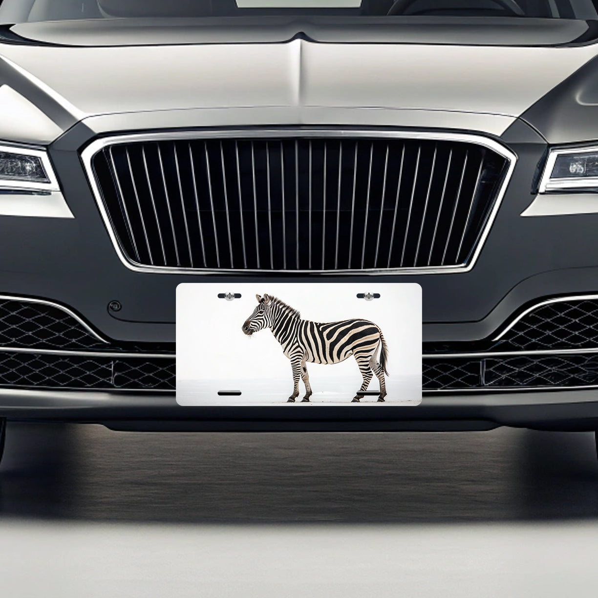 Zebra White Background Metal Vanity Novelty Tag License Plate for Trucks Cars SUVs