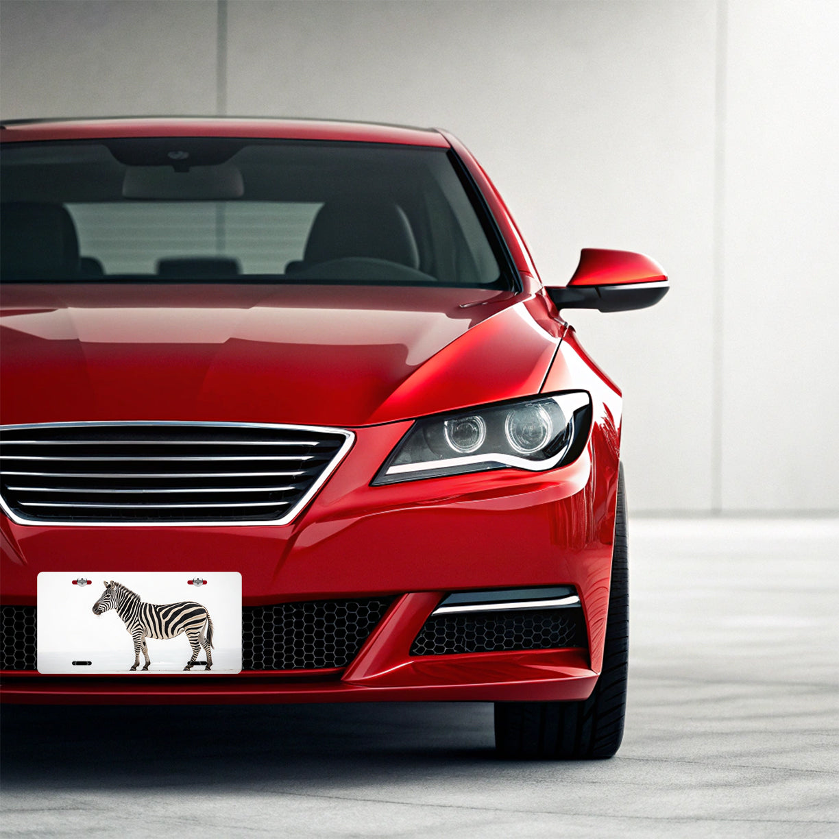 Zebra White Background Metal Vanity Novelty Tag License Plate for Trucks Cars SUVs