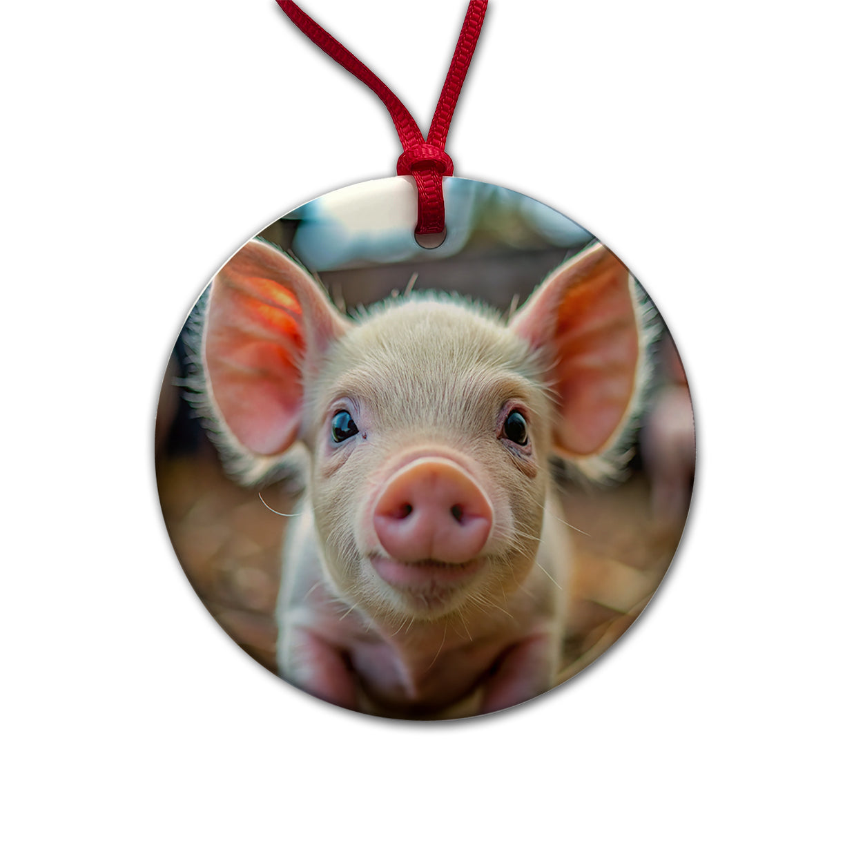 Baby Pig Face Round Ceramic Holiday Christmas Tree Ornament