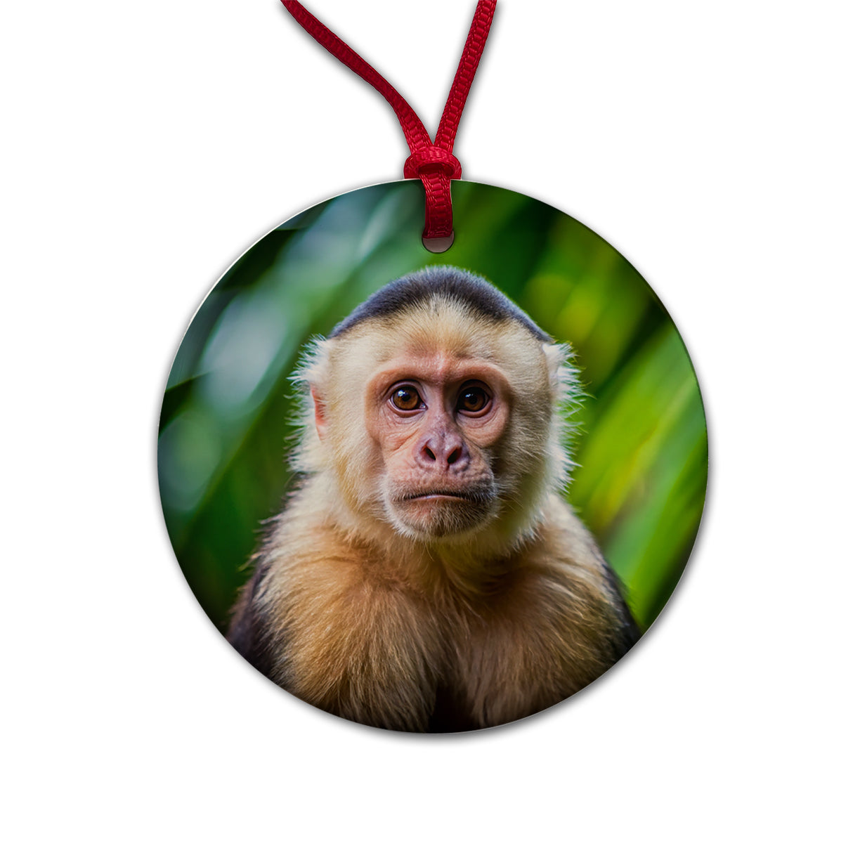 Capuchin Monkey Round Ceramic Holiday Christmas Tree Ornament