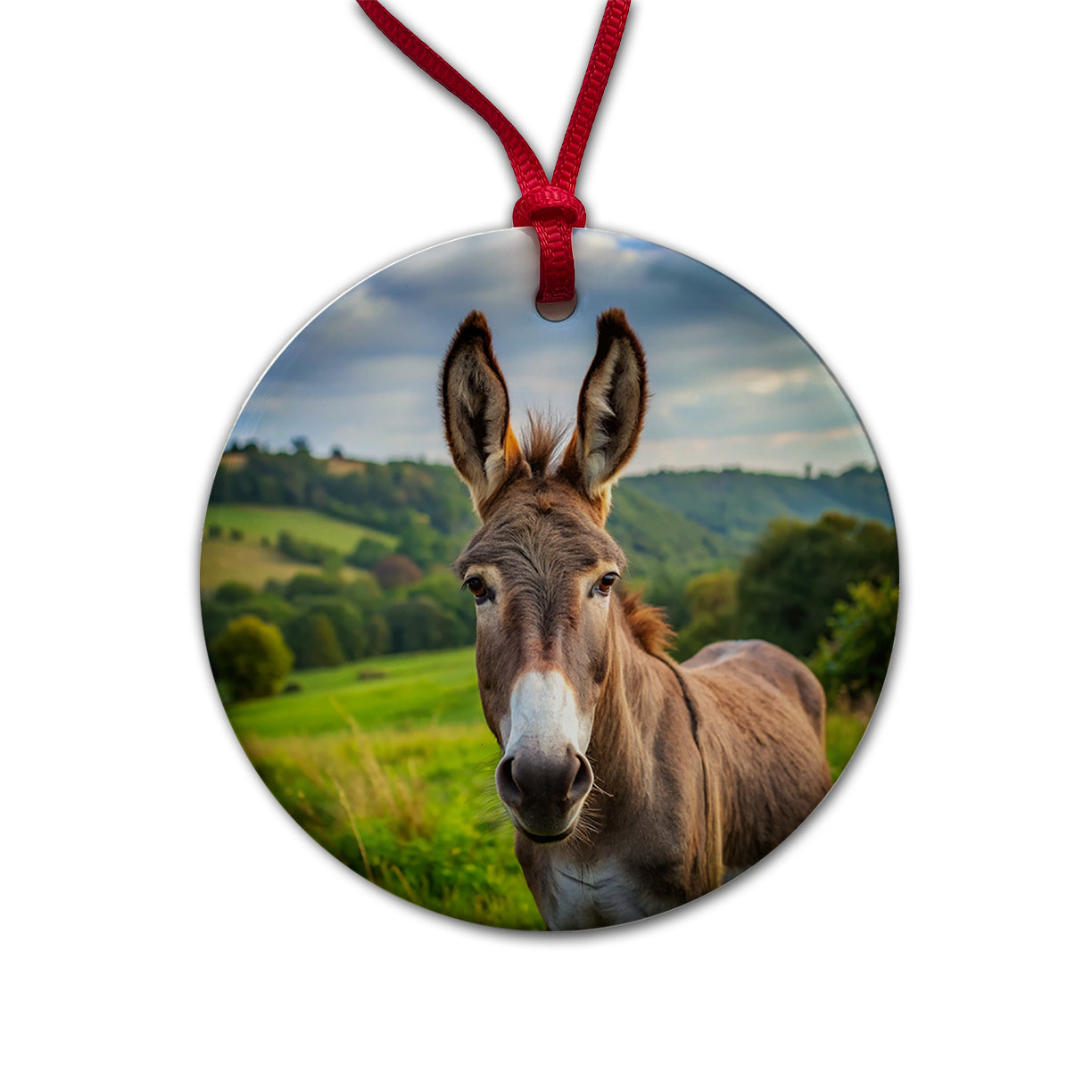 Donkey Round Ceramic Holiday Christmas Tree Ornament