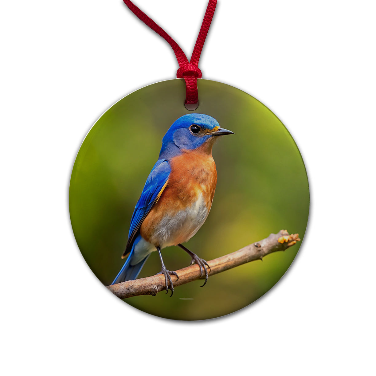 Eastern Bluebird Backyard Bird Round Ceramic Holiday Christmas Tree Ornament