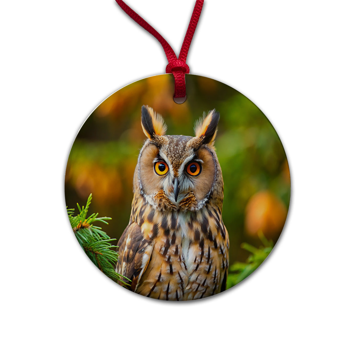 Long-Eared Owl Raptor Bird Of Prey Round Ceramic Holiday Christmas Tree Ornament