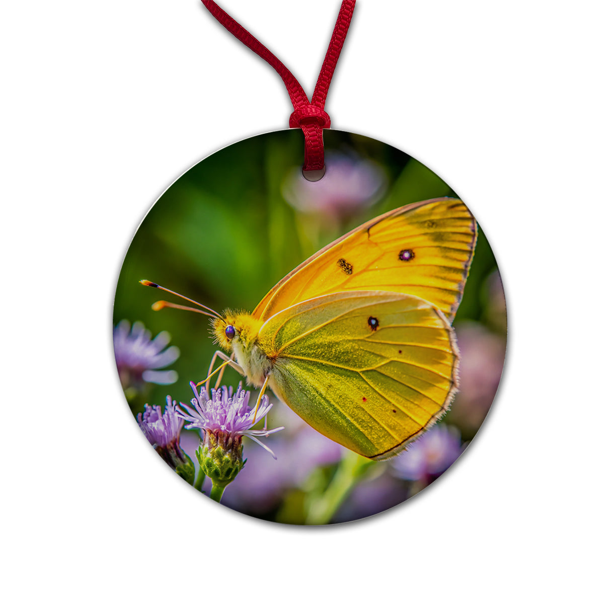 Orange Sulphur Butterfly Round Ceramic Holiday Christmas Tree Ornament