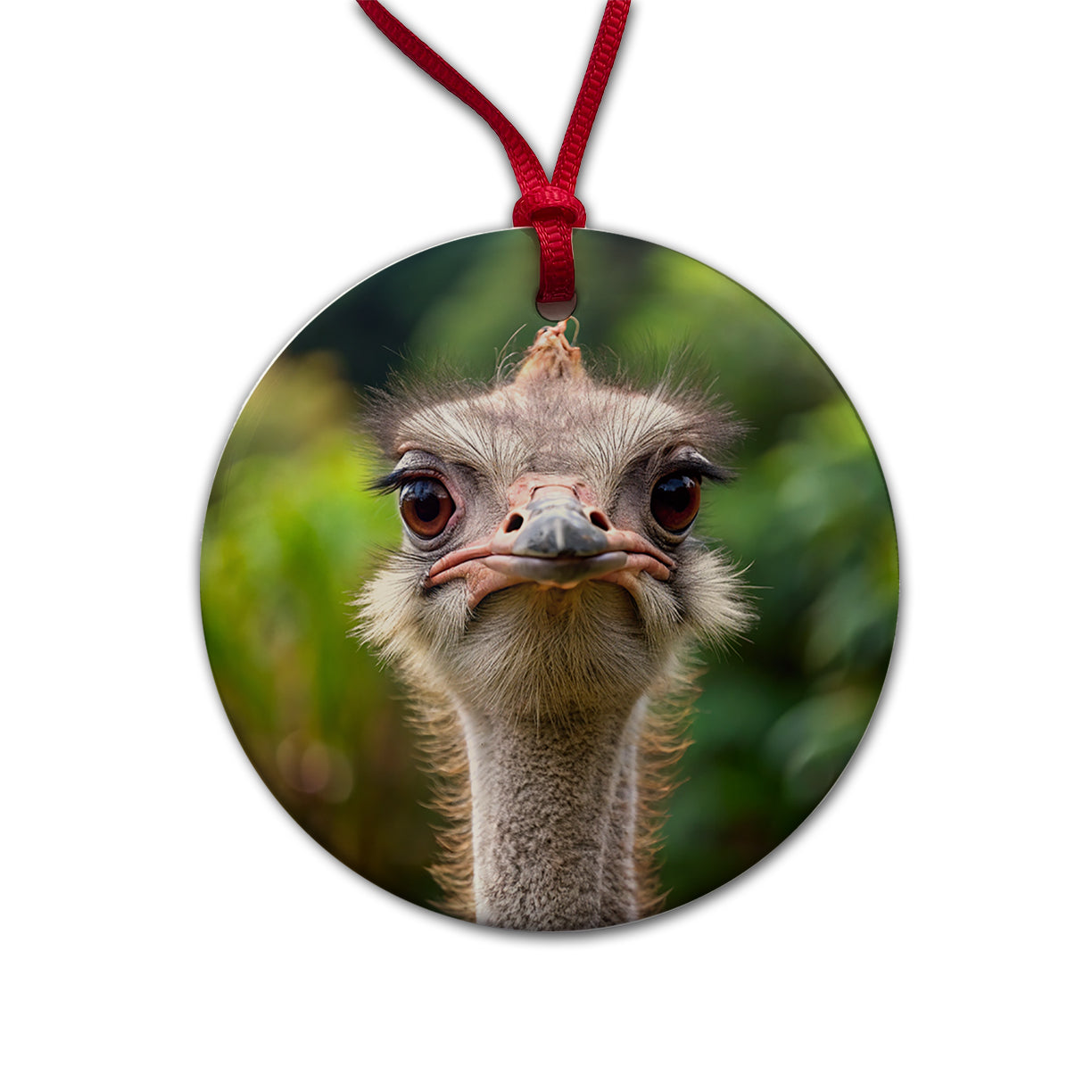 Ostrich Round Ceramic Holiday Christmas Tree Ornament