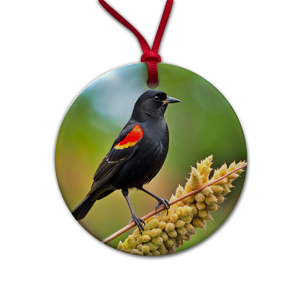 Red Winged Blackbird Backyard Bird Round Ceramic Holiday Christmas Tree Ornament