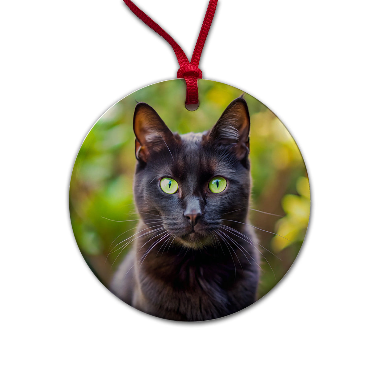 Black Cat Photo Round Ceramic Holiday Christmas Tree Ornament