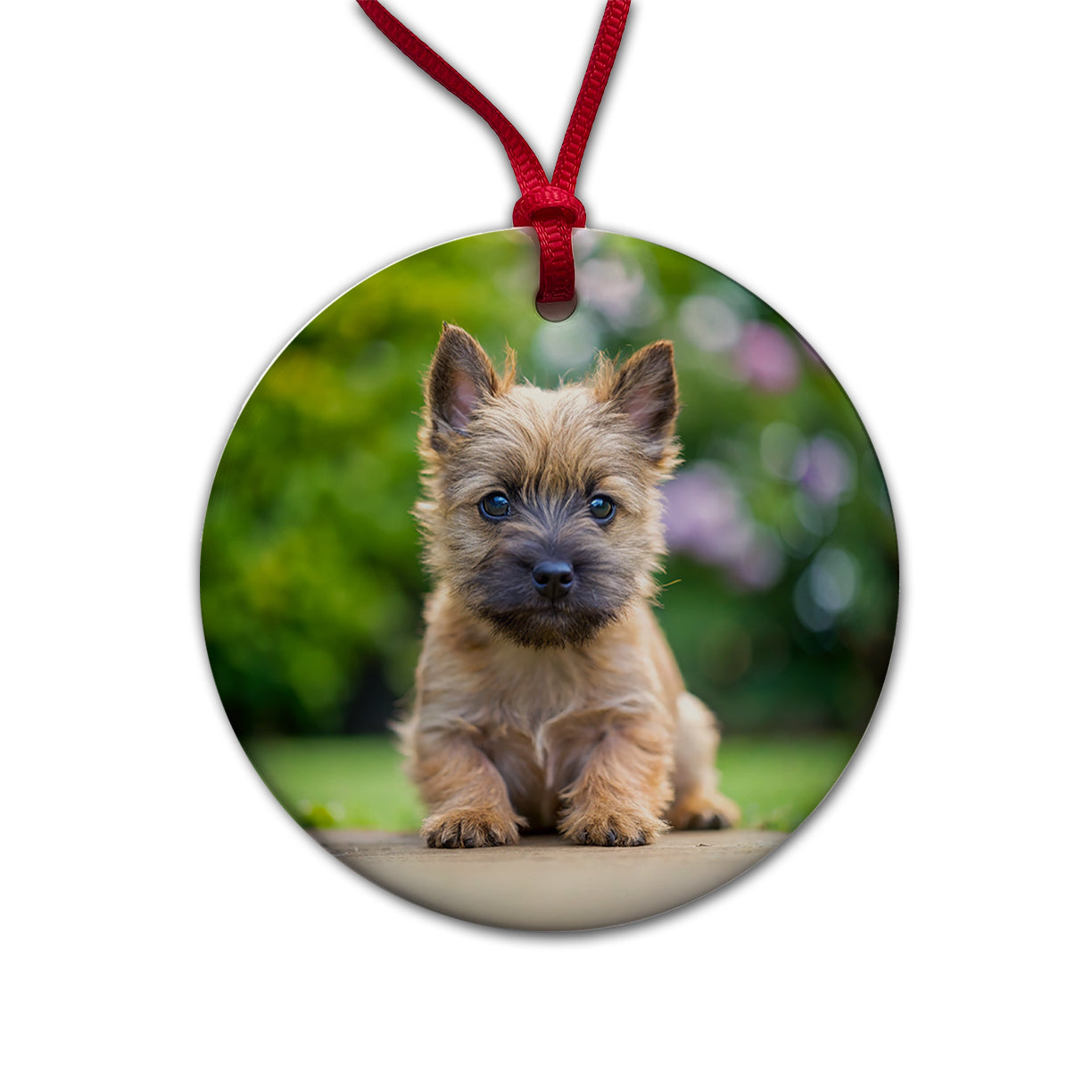 Cairn Terrier Dog Puppy Photo Round Ceramic Holiday Christmas Tree Ornament