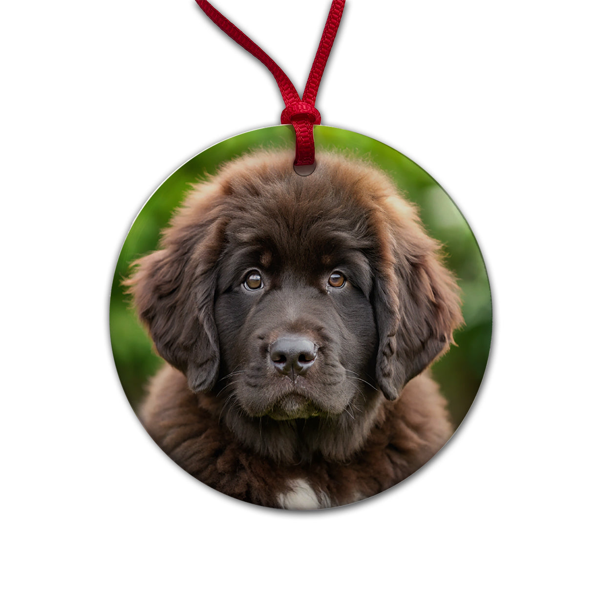 Newfoundland Dog Puppy Photo Round Ceramic Holiday Christmas Tree Ornament