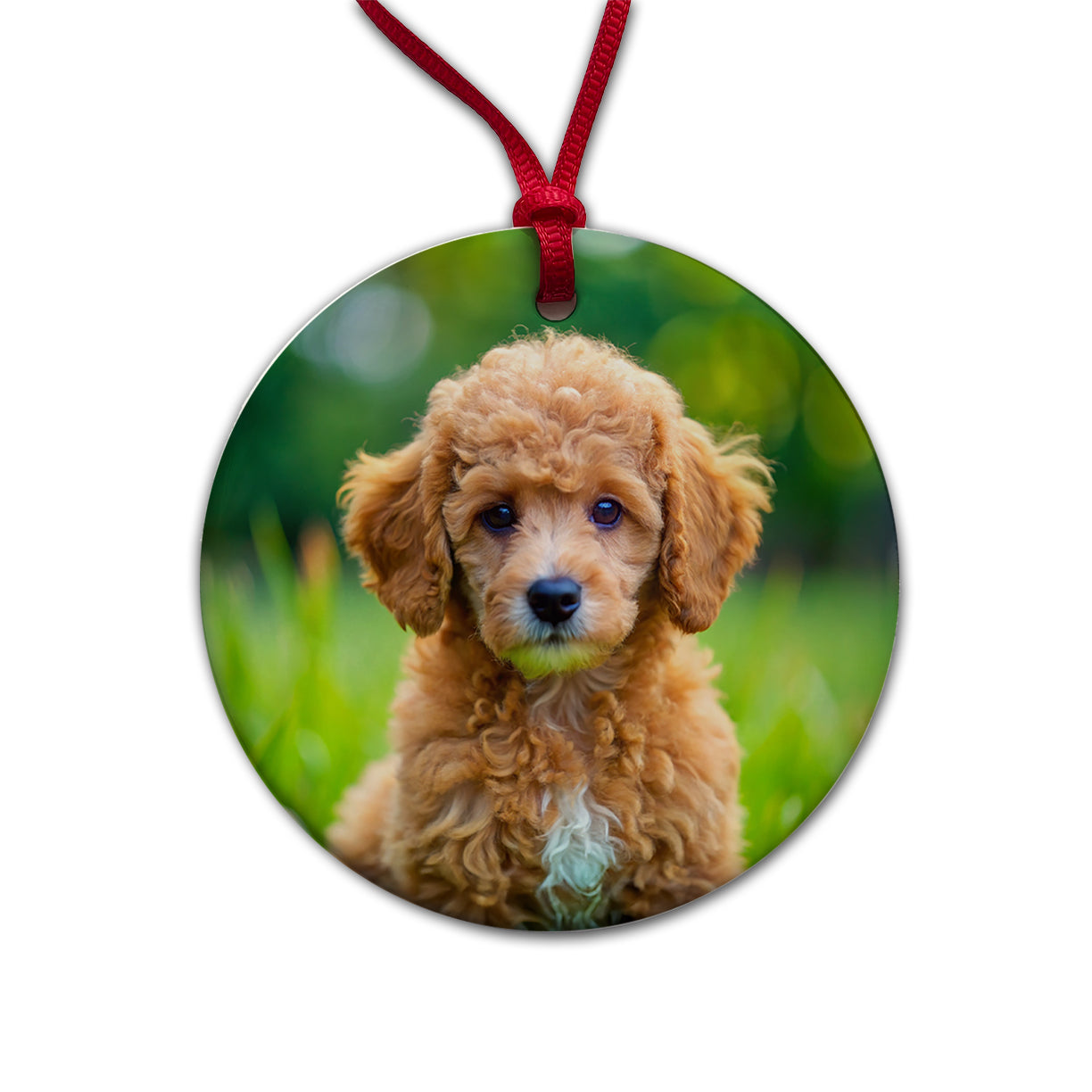 Poodle Dog Puppy Photo Round Ceramic Holiday Christmas Tree Ornament
