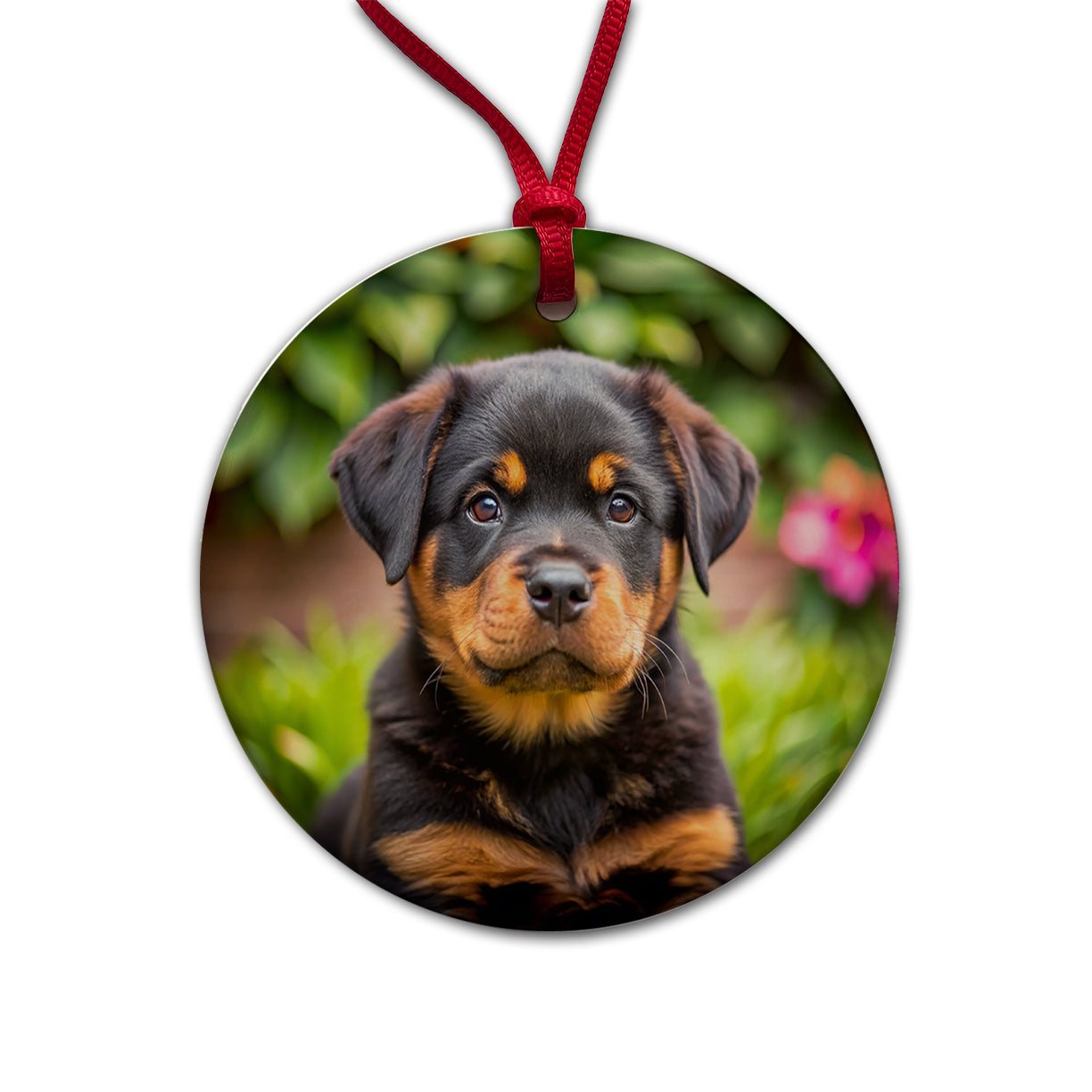 Rottweiler Dog Puppy Photo Round Ceramic Holiday Christmas Tree Ornament