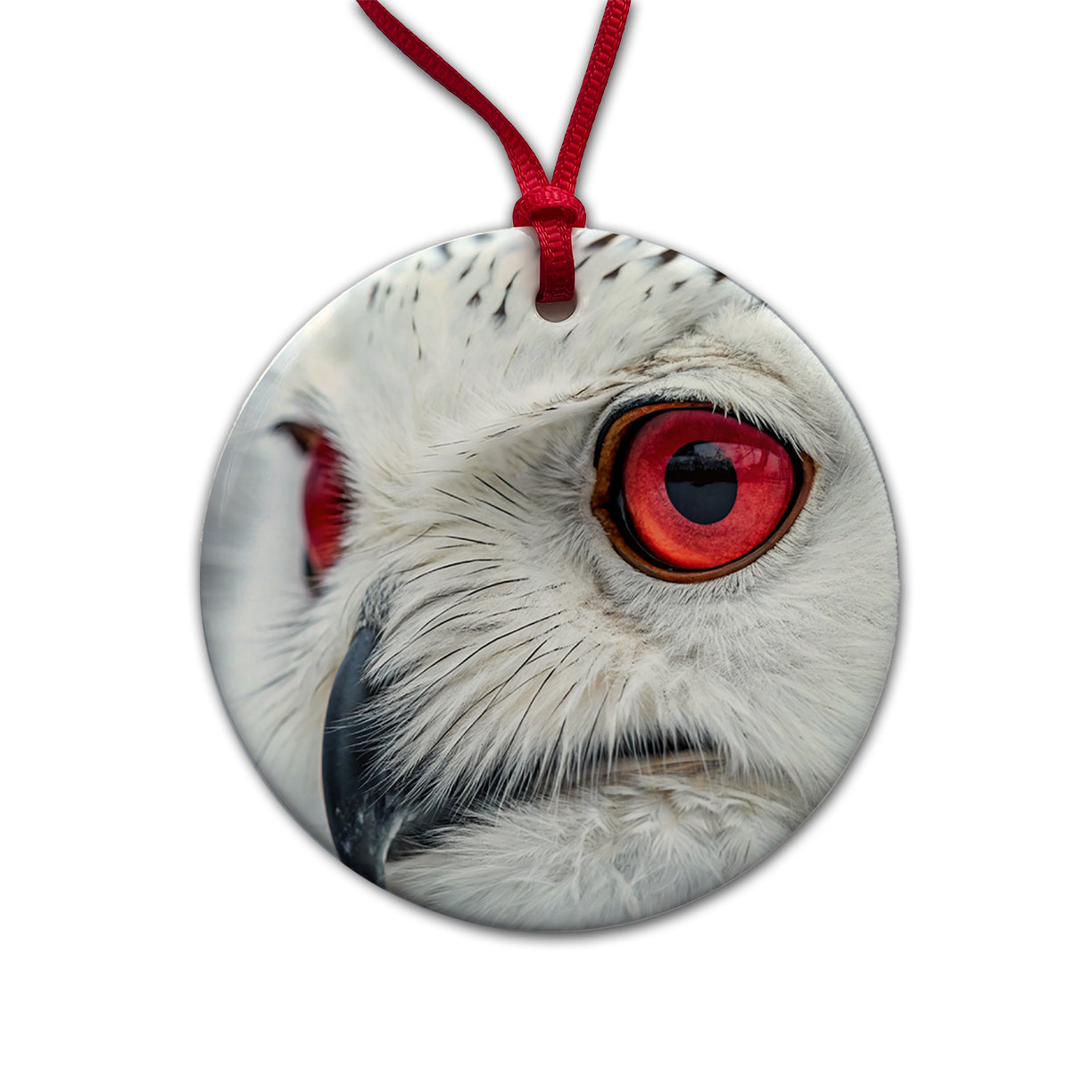 Red Eyes Owl Bird Round Ceramic Holiday Christmas Tree Ornament
