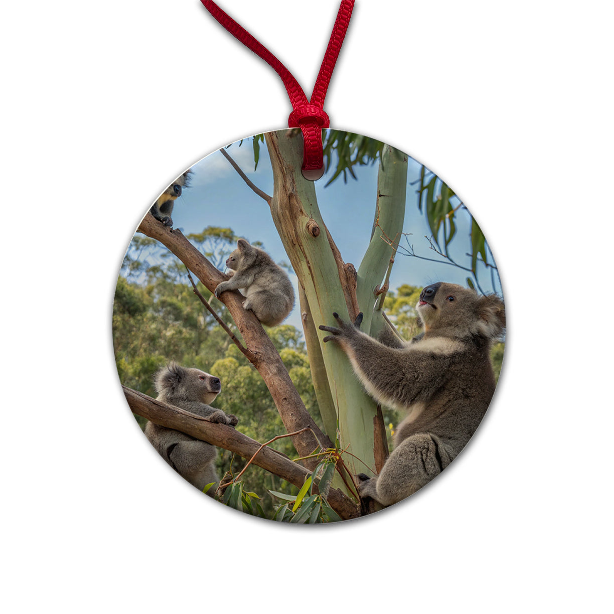Bunch Of Koalas Round Ceramic Holiday Christmas Tree Ornament
