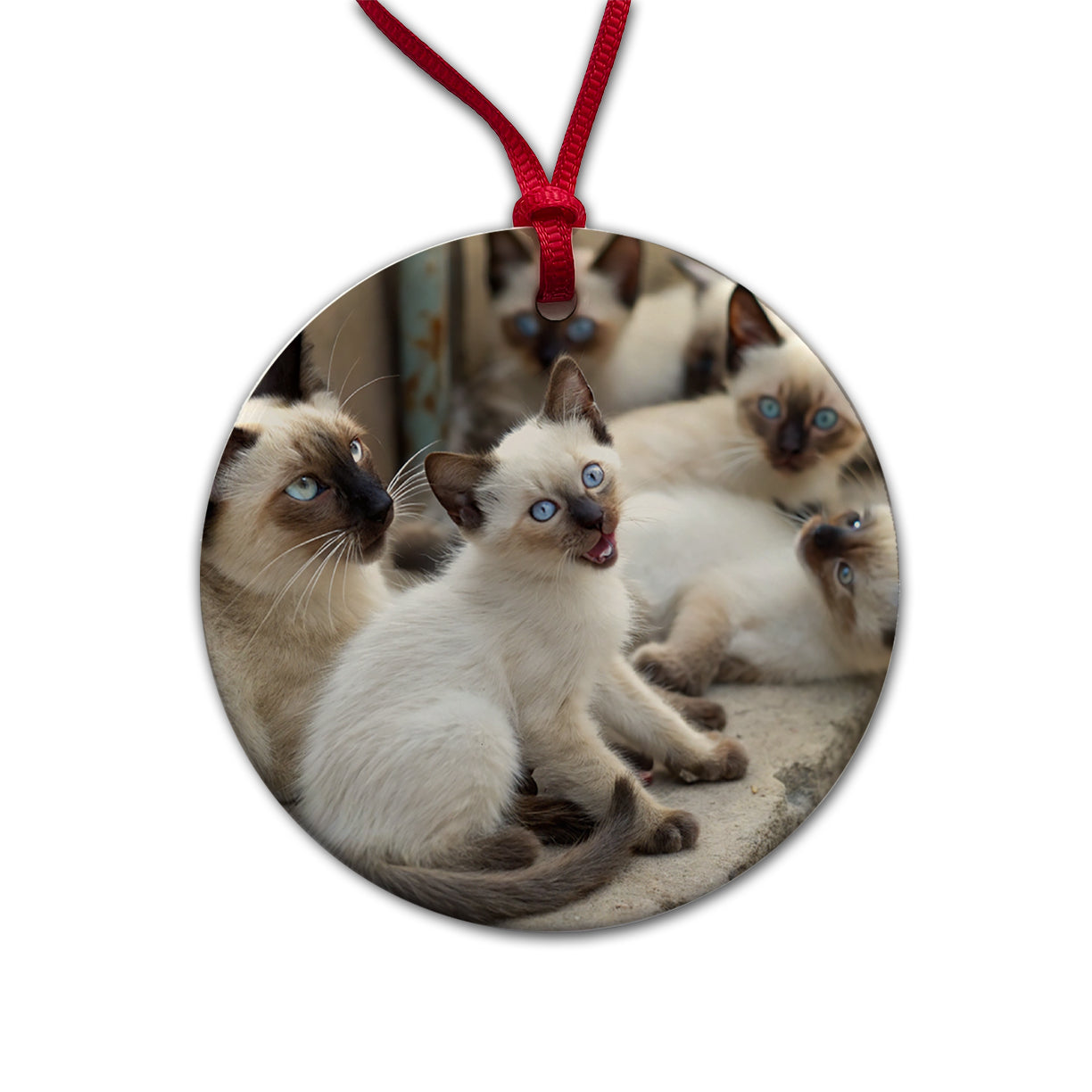 Bunch Of Siamese Cats Round Ceramic Holiday Christmas Tree Ornament
