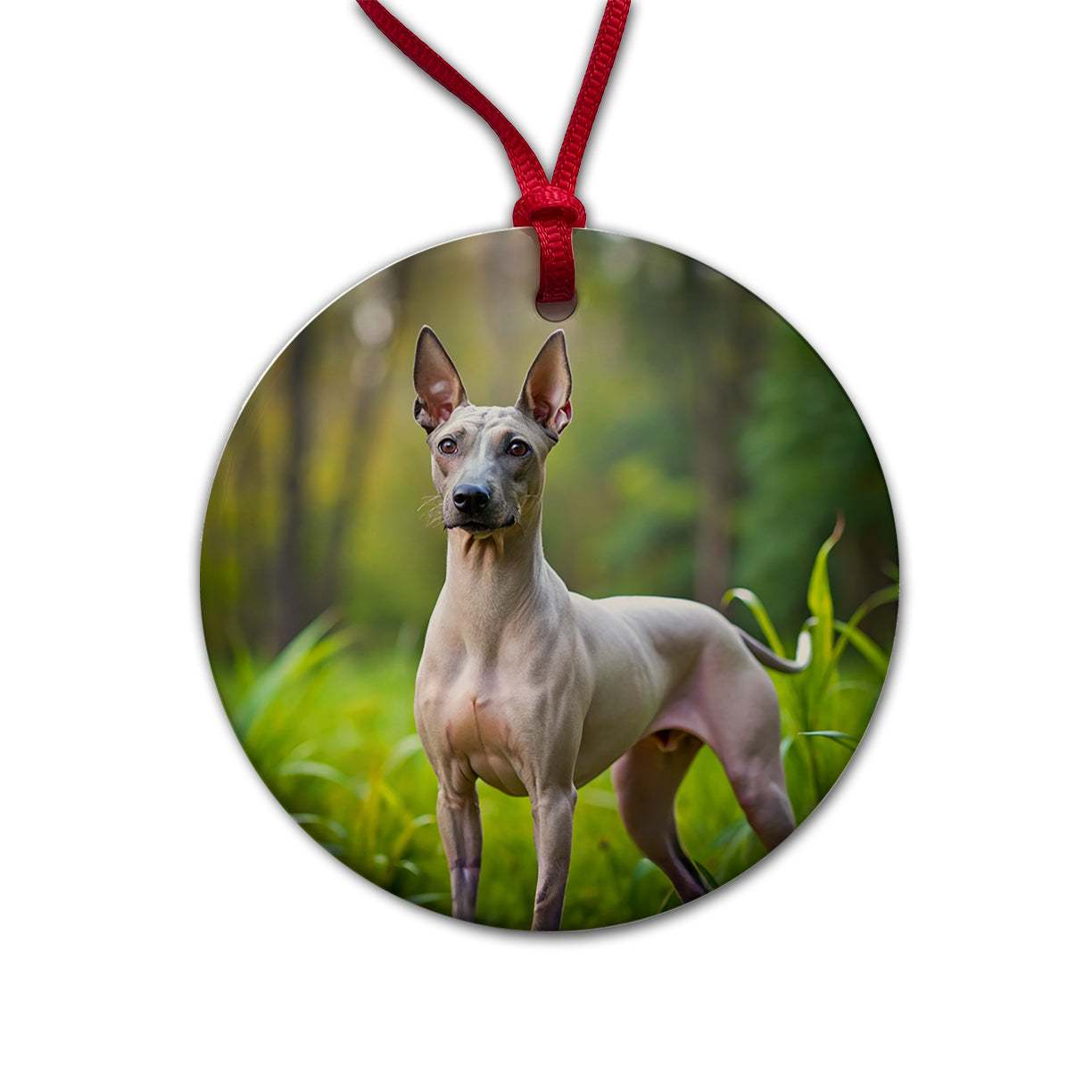 American Hairless Terrier Dog Photo Round Ceramic Holiday Christmas Tree Ornament