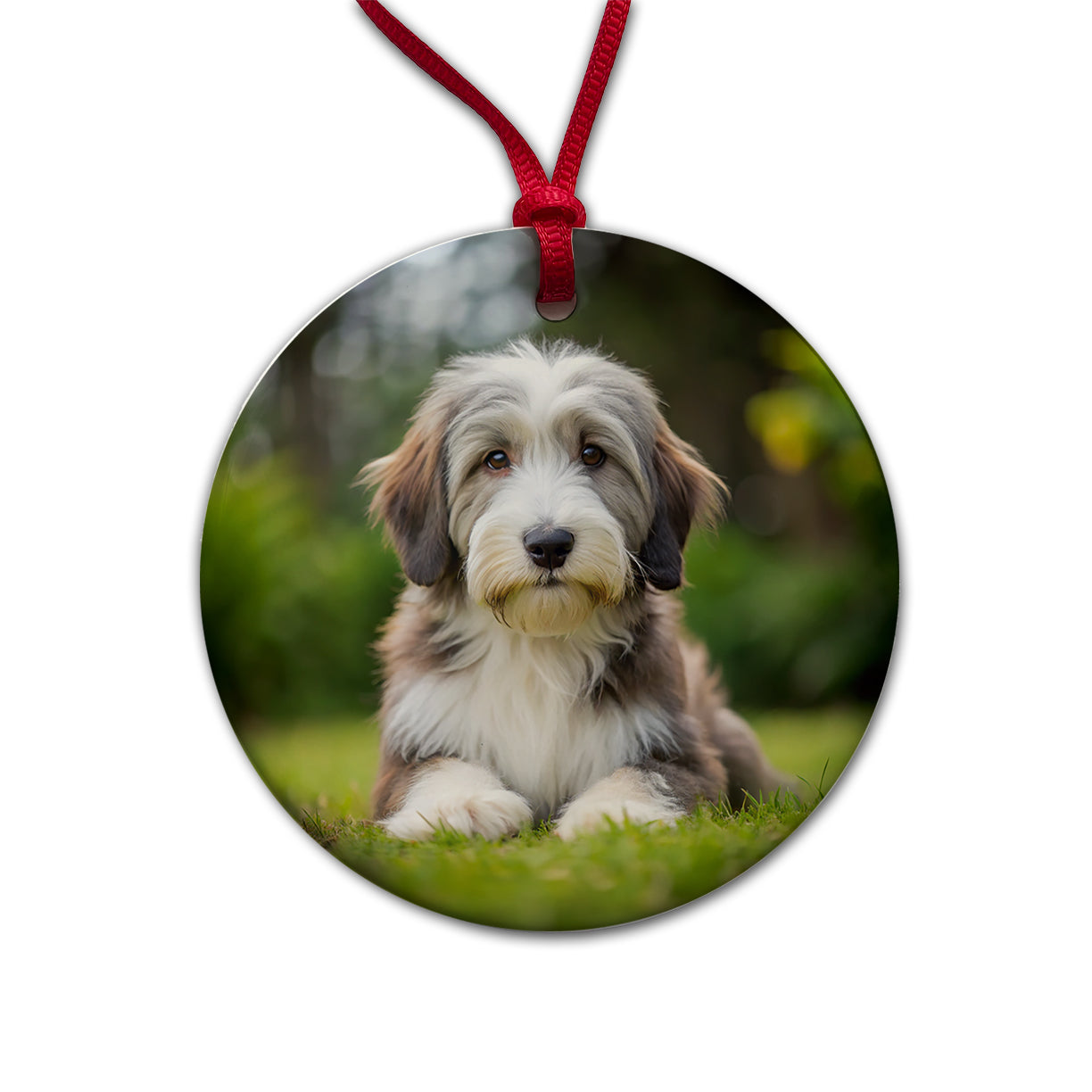Bearded Collie Dog Puppy Photo Round Ceramic Holiday Christmas Tree Ornament