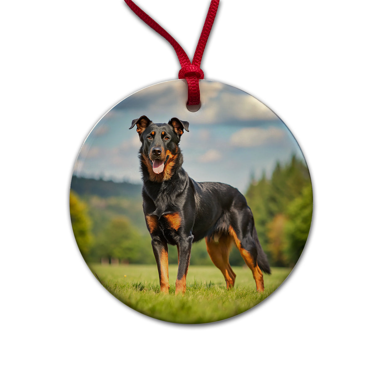 Beauceron Dog Photo Round Ceramic Holiday Christmas Tree Ornament