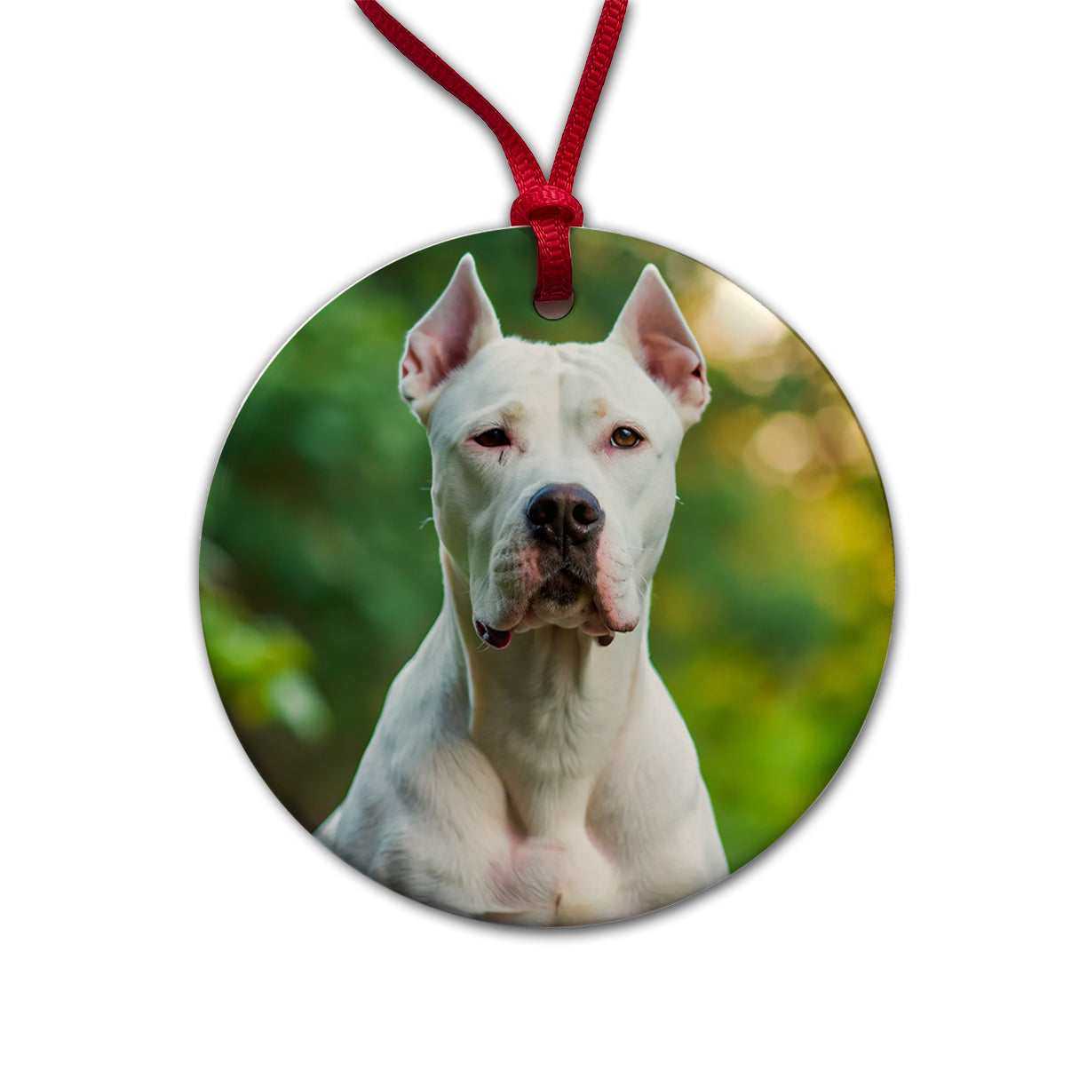 Dogo Argentino Dog Photo Round Ceramic Holiday Christmas Tree Ornament