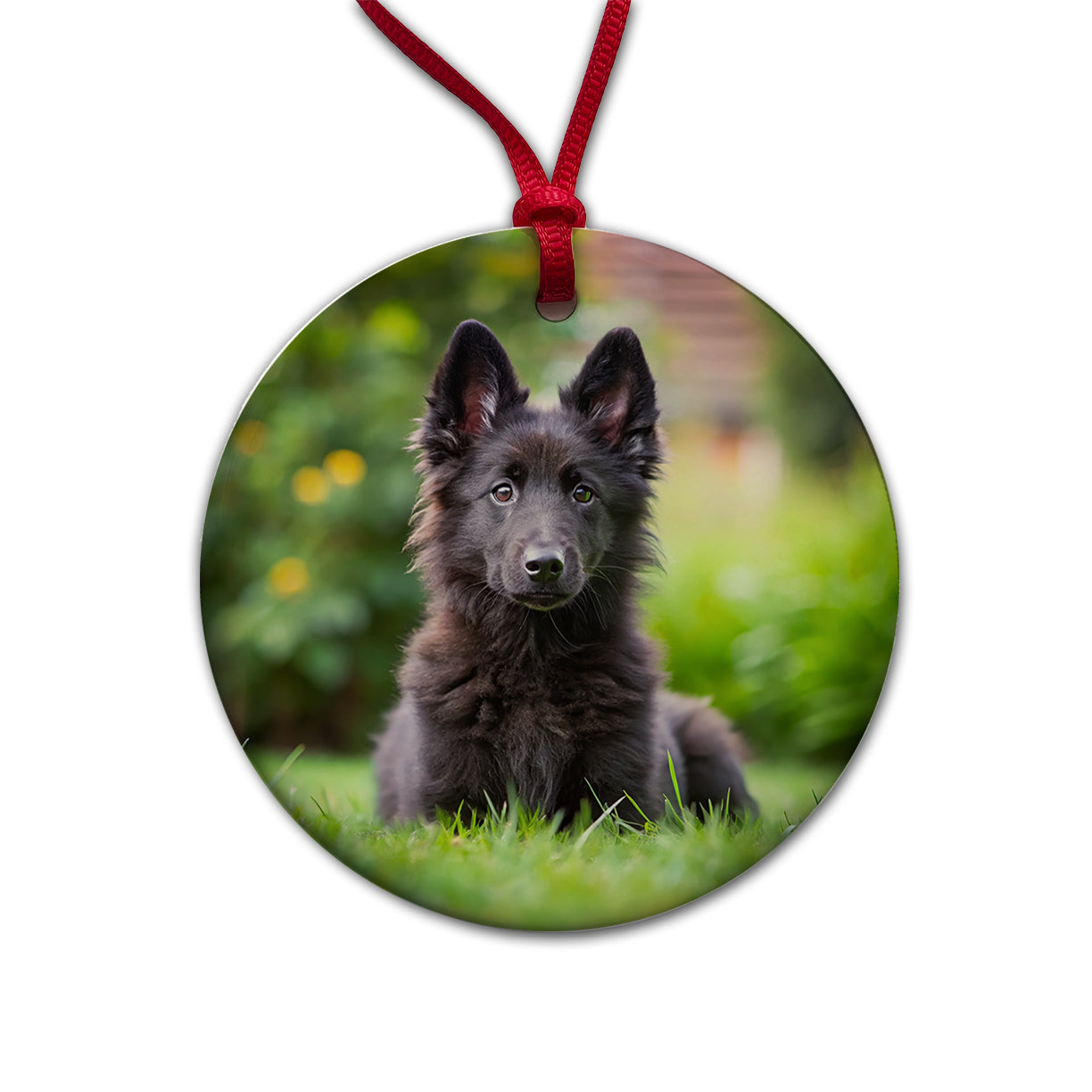 Groenendael Belgian Sheepdog Dog Puppy Photo Round Ceramic Holiday Christmas Tree Ornament