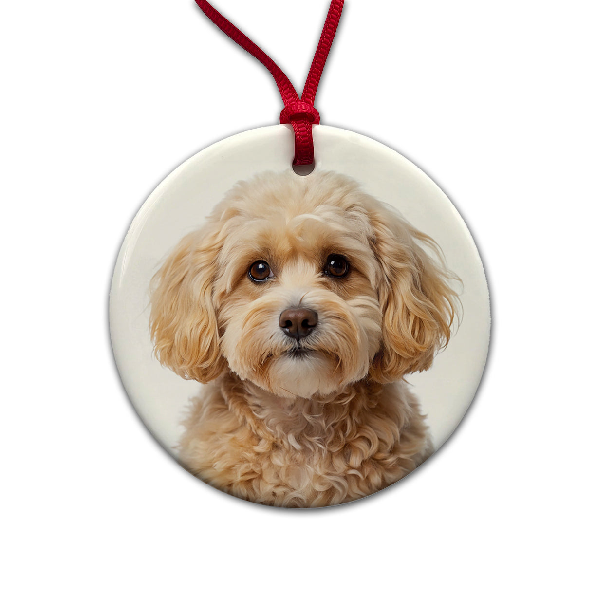 Maltipoo Dog Photo Round Ceramic Holiday Christmas Tree Ornament