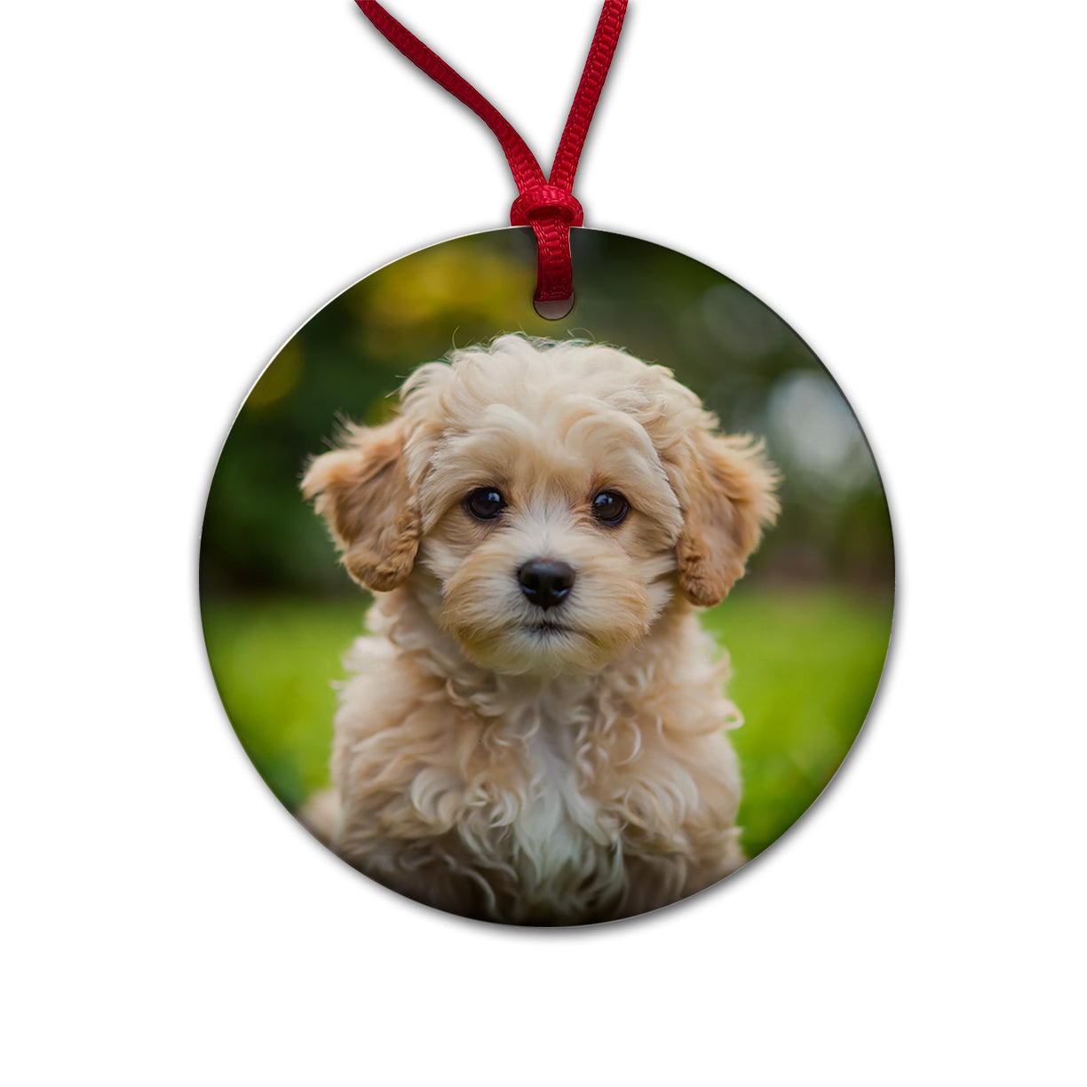 Maltipoo Dog Puppy Photo Round Ceramic Holiday Christmas Tree Ornament