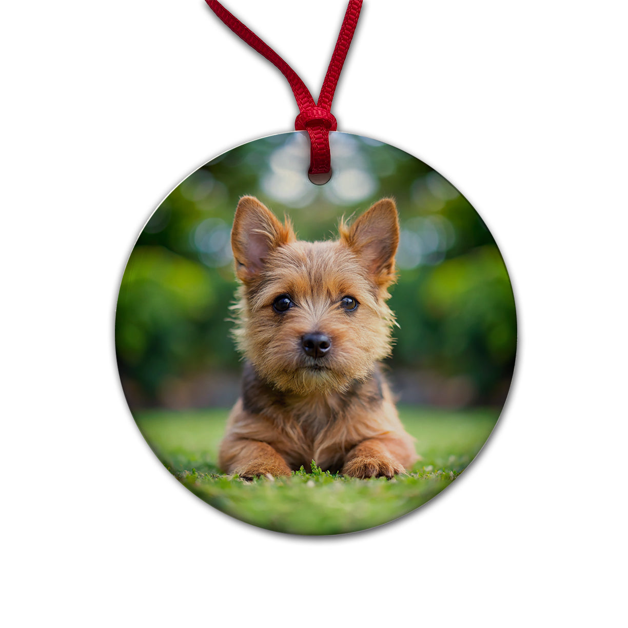 Norwich Terrier Dog Puppy Photo Round Ceramic Holiday Christmas Tree Ornament