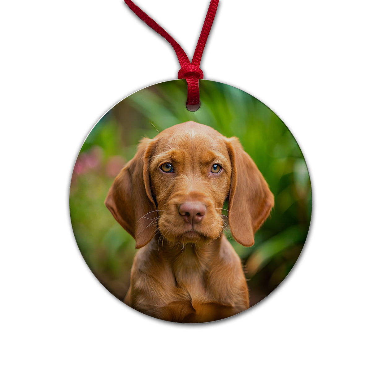 Wirehaired Vizsla Dog Puppy Photo Round Ceramic Holiday Christmas Tree Ornament