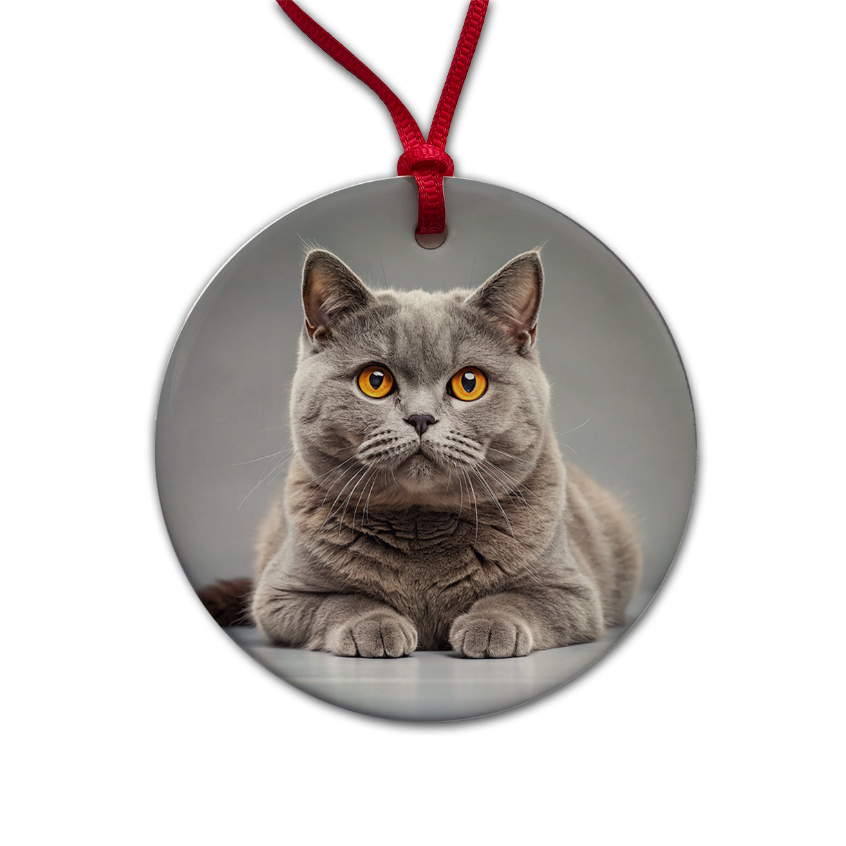 British Shorthair Gray Cat Photo Round Ceramic Holiday Christmas Tree Ornament