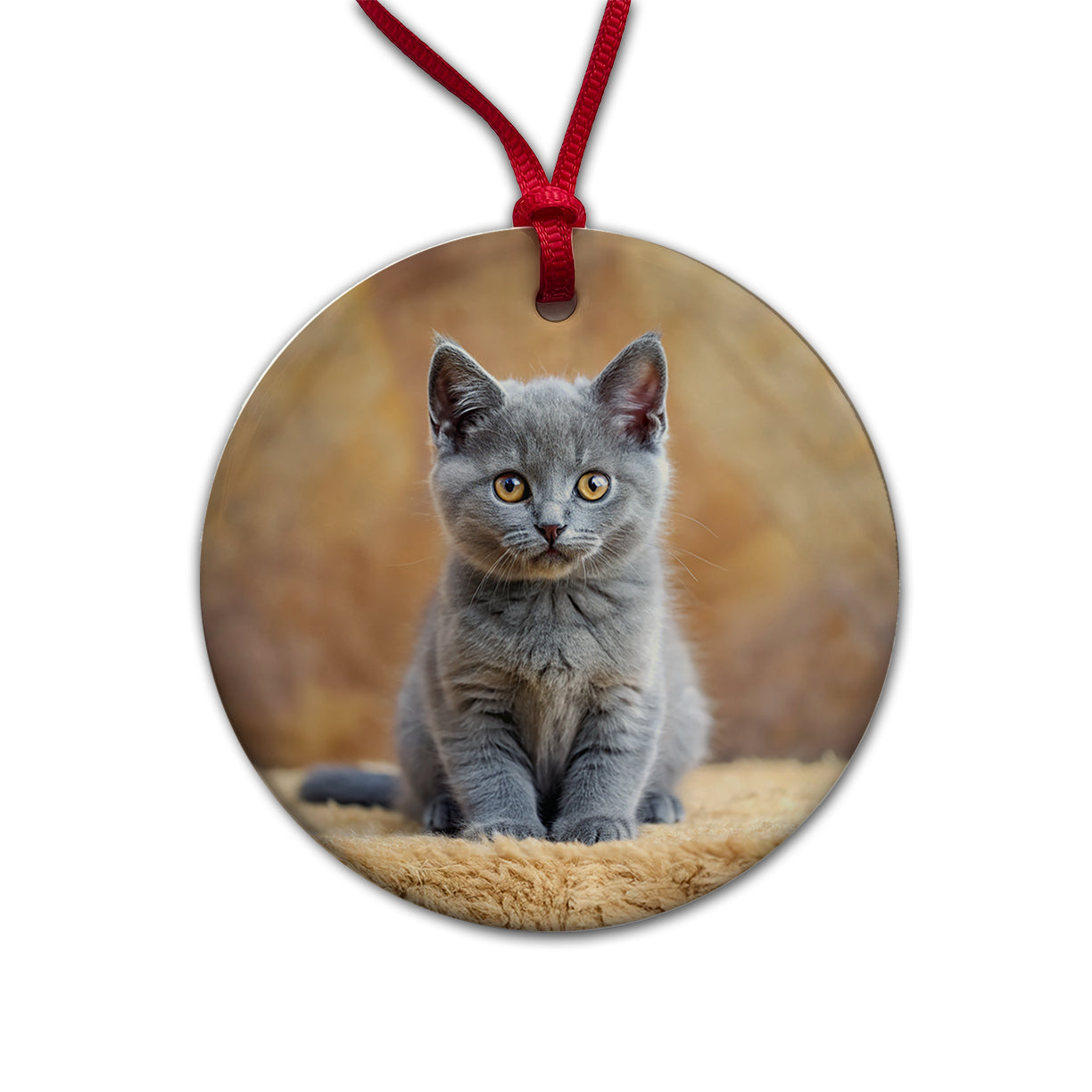 Chartreux Cat Kitten Photo Round Ceramic Holiday Christmas Tree Ornament