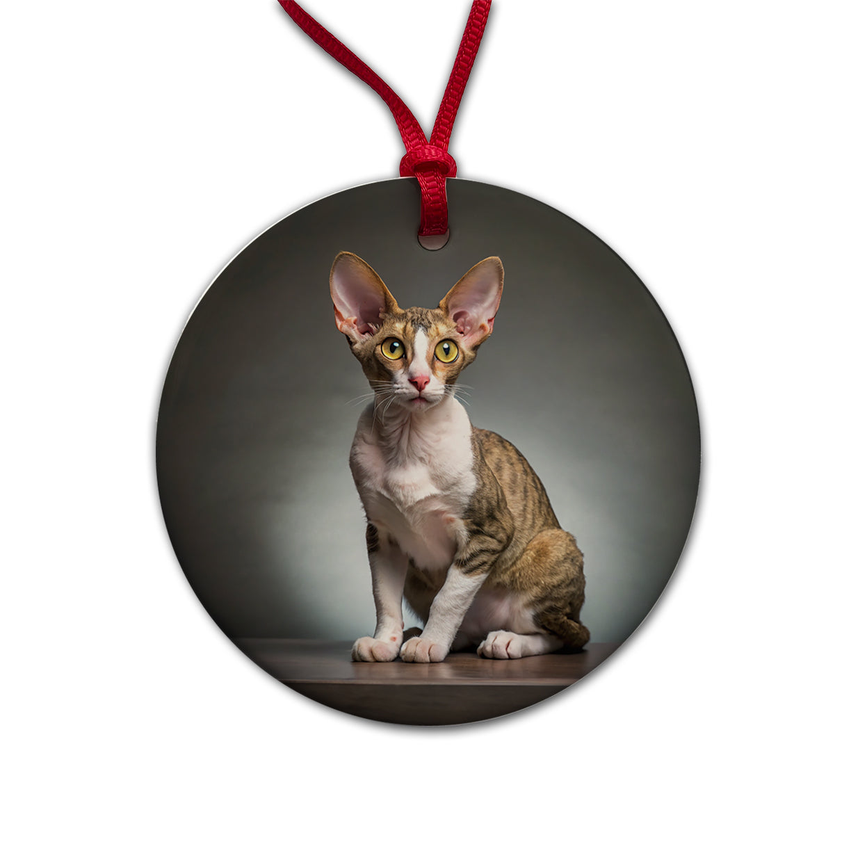 Cornish Rex Cat Photo Round Ceramic Holiday Christmas Tree Ornament