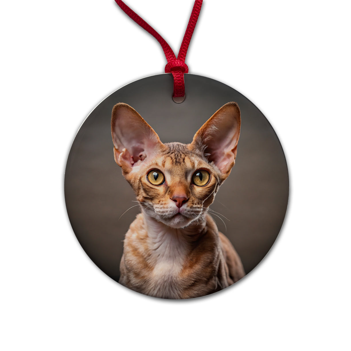 Devon Rex Cat Photo Round Ceramic Holiday Christmas Tree Ornament