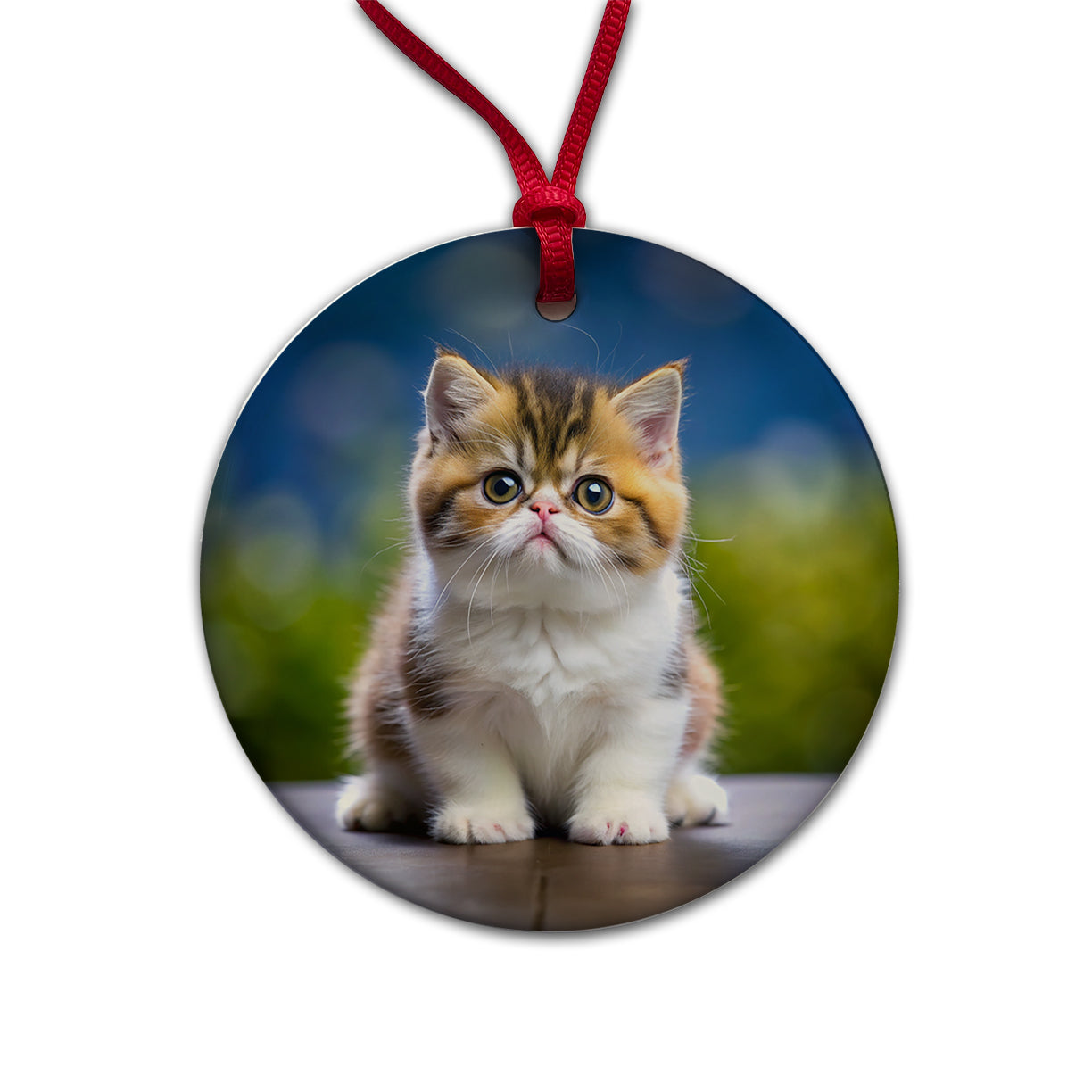 Exotic Shorthair Cat Kitten Photo Round Ceramic Holiday Christmas Tree Ornament