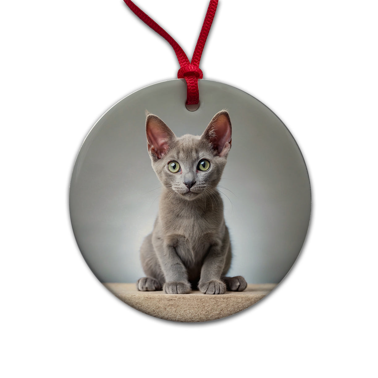 Korat Cat Kitten Photo Round Ceramic Holiday Christmas Tree Ornament