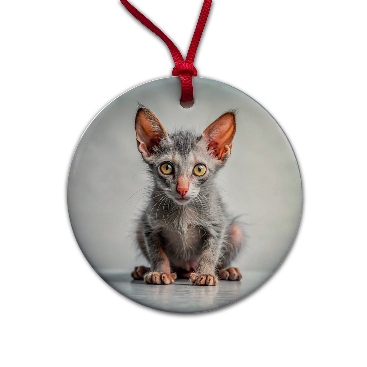 Lykoi Wolf Cat Kitten Photo Round Ceramic Holiday Christmas Tree Ornament
