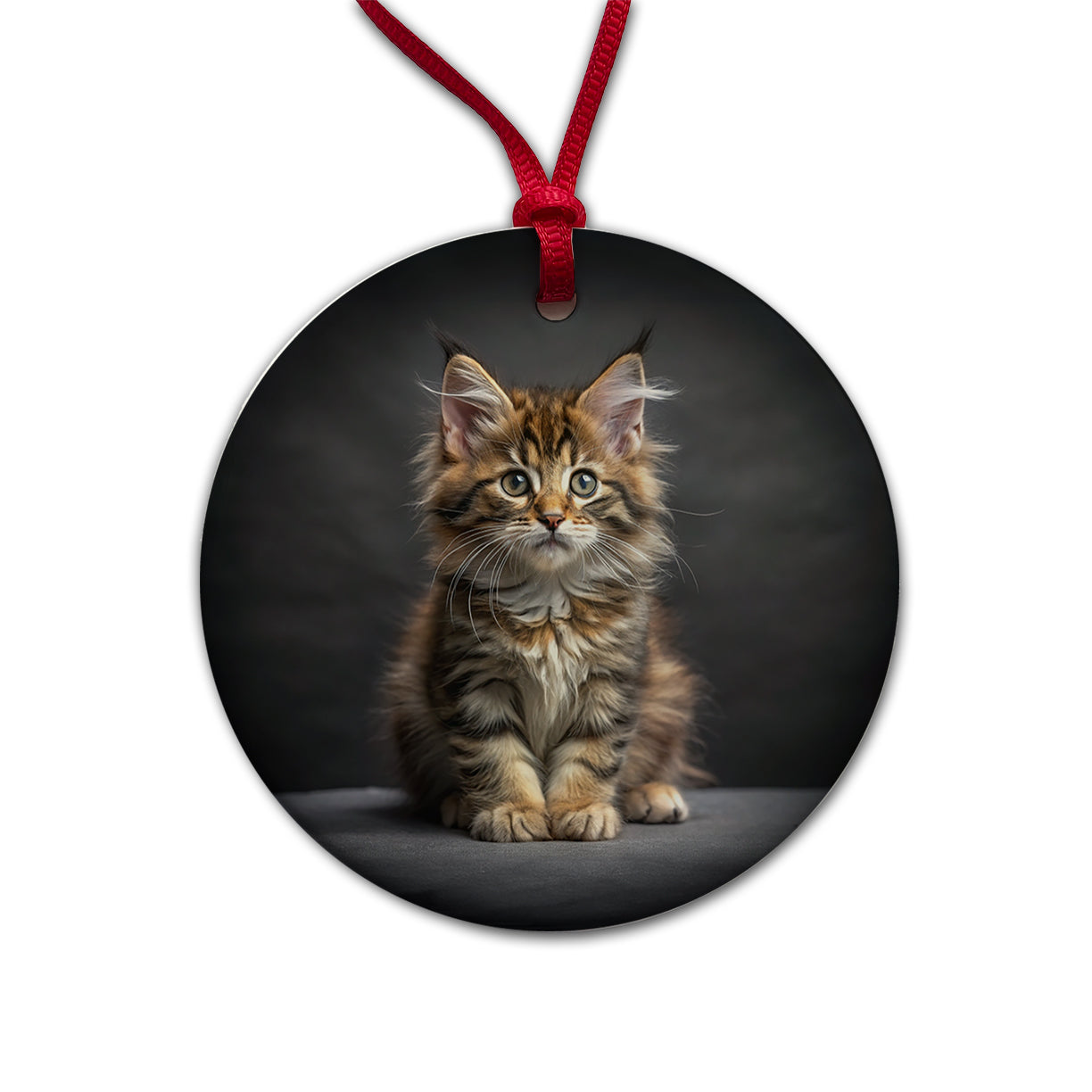 Maine Coon Cat Kitten Photo Round Ceramic Holiday Christmas Tree Ornament