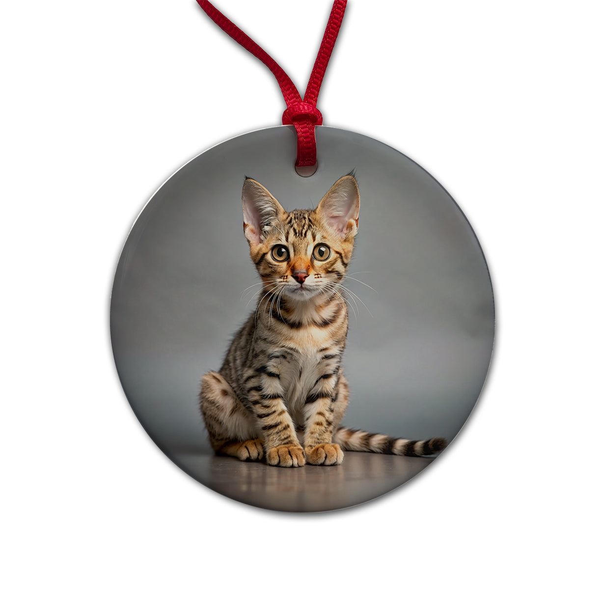 Ocicat Cat Kitten Photo Round Ceramic Holiday Christmas Tree Ornament