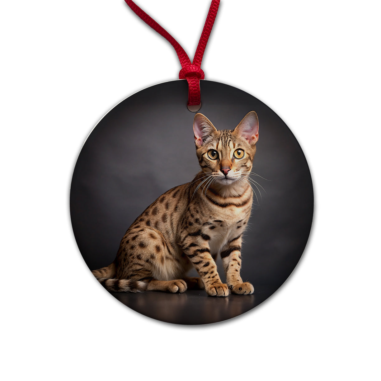 Ocicat Cat Photo Round Ceramic Holiday Christmas Tree Ornament