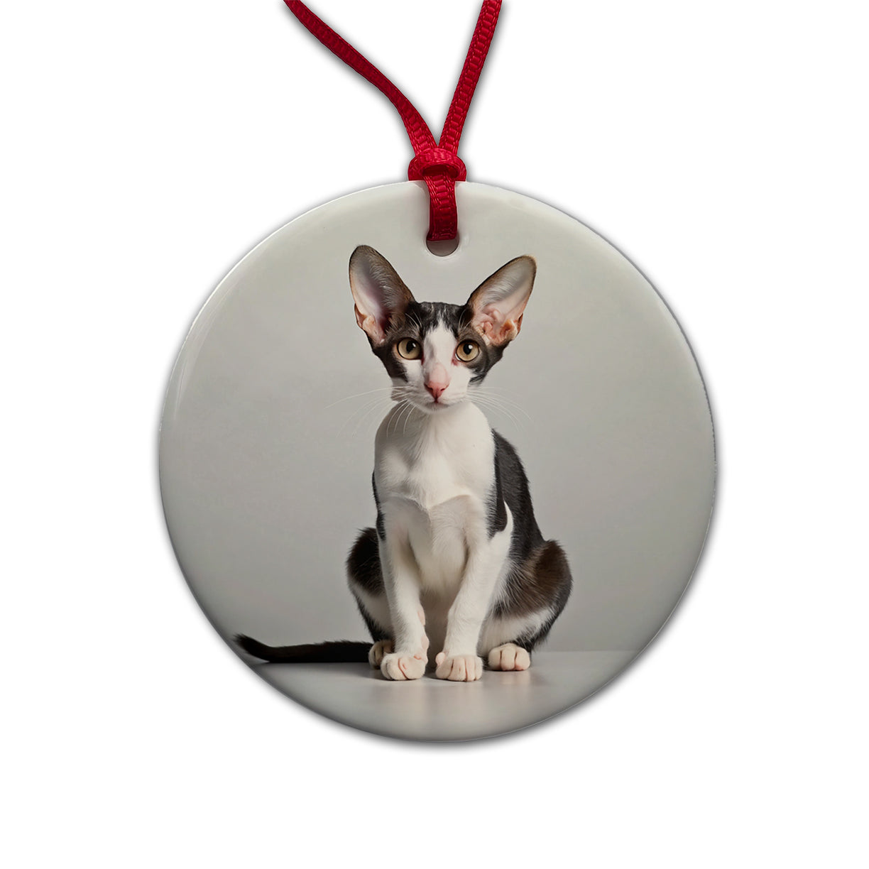 Oriental Shorthair Black White Cat Photo Round Ceramic Holiday Christmas Tree Ornament