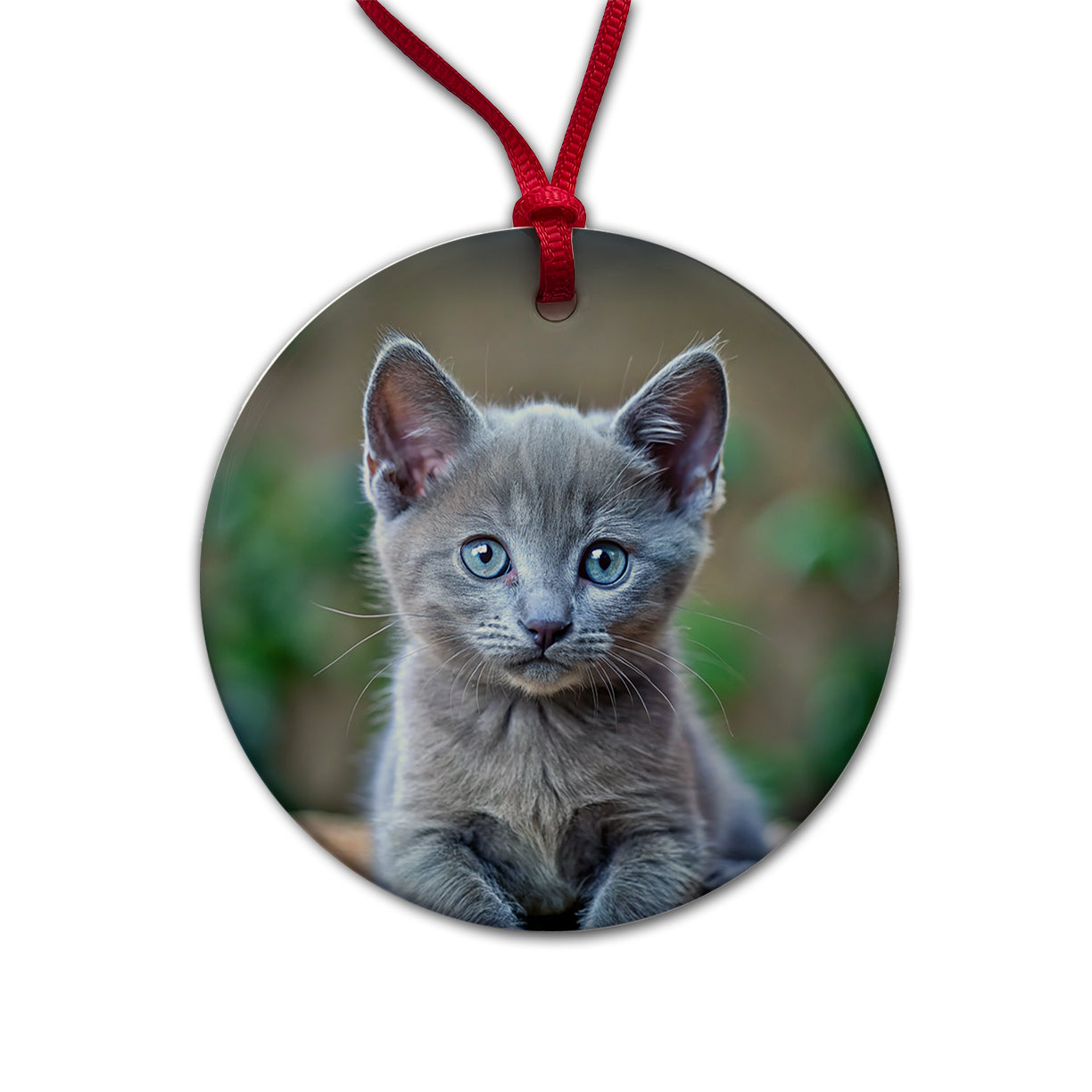 Russian Blue Cat Kitten Photo Round Ceramic Holiday Christmas Tree Ornament