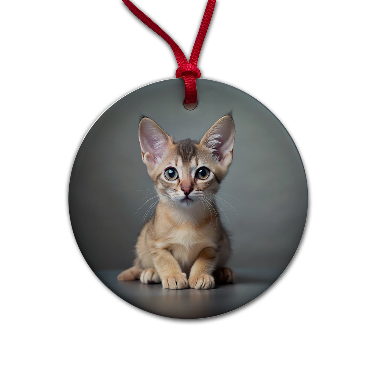 Singapura Cat Kitten Photo Round Ceramic Holiday Christmas Tree Ornament