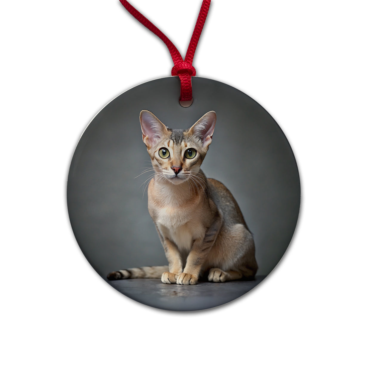 Singapura Cat Photo Round Ceramic Holiday Christmas Tree Ornament