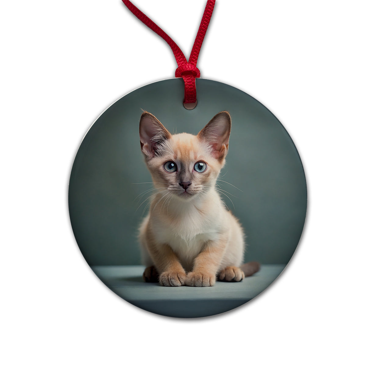 Tonkinese Cat Kitten Photo Round Ceramic Holiday Christmas Tree Ornament