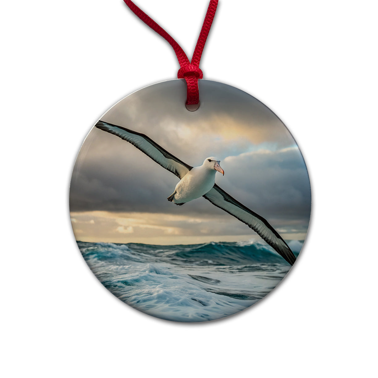 Albatross Bird Photo Round Ceramic Holiday Christmas Tree Ornament