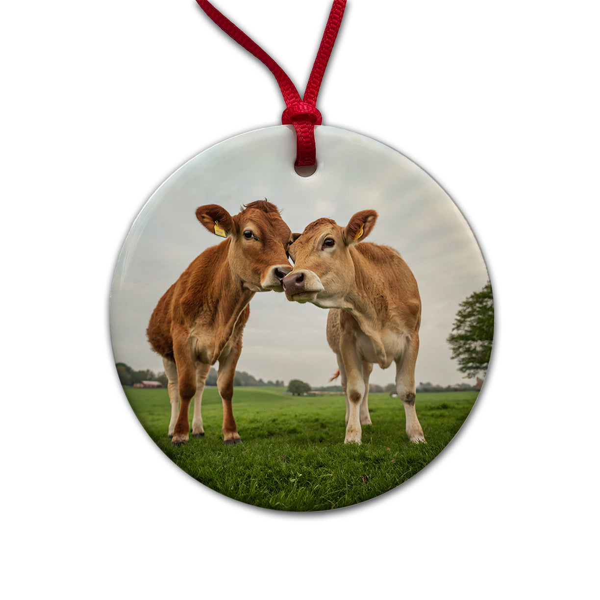 Cows Nuzzle Love Round Ceramic Holiday Christmas Tree Ornament