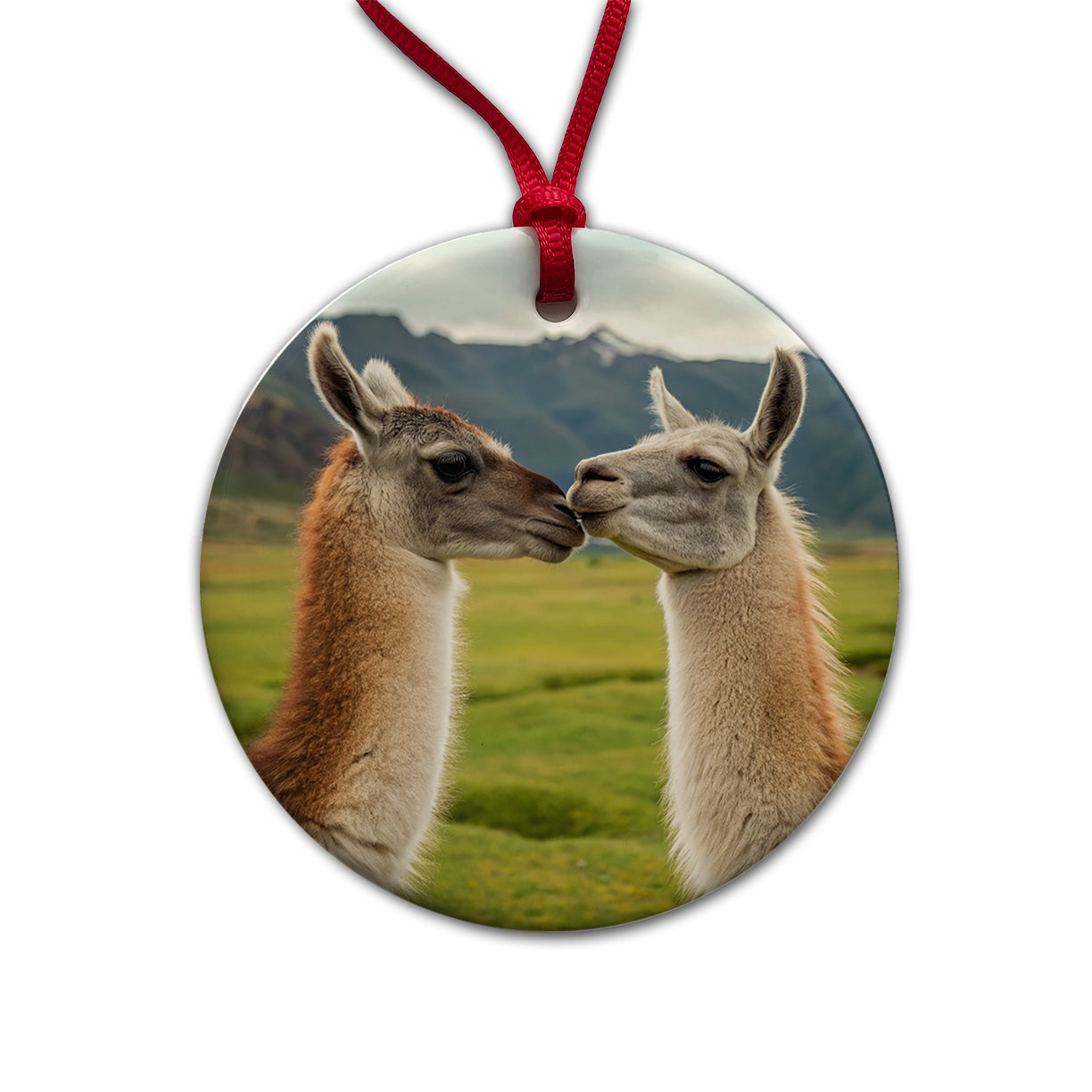 Llamas Kissing Love Round Ceramic Holiday Christmas Tree Ornament
