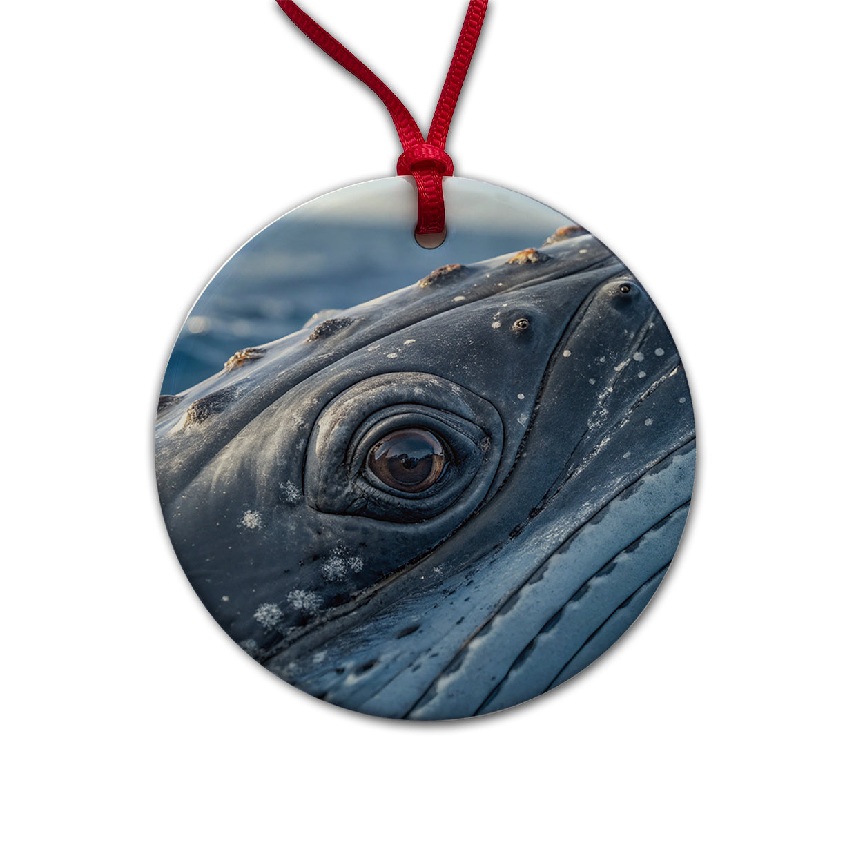 Whale Eye Close Up Round Ceramic Holiday Christmas Tree Ornament